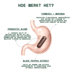 Viora - Menopauze Gewrichtsondersteuning